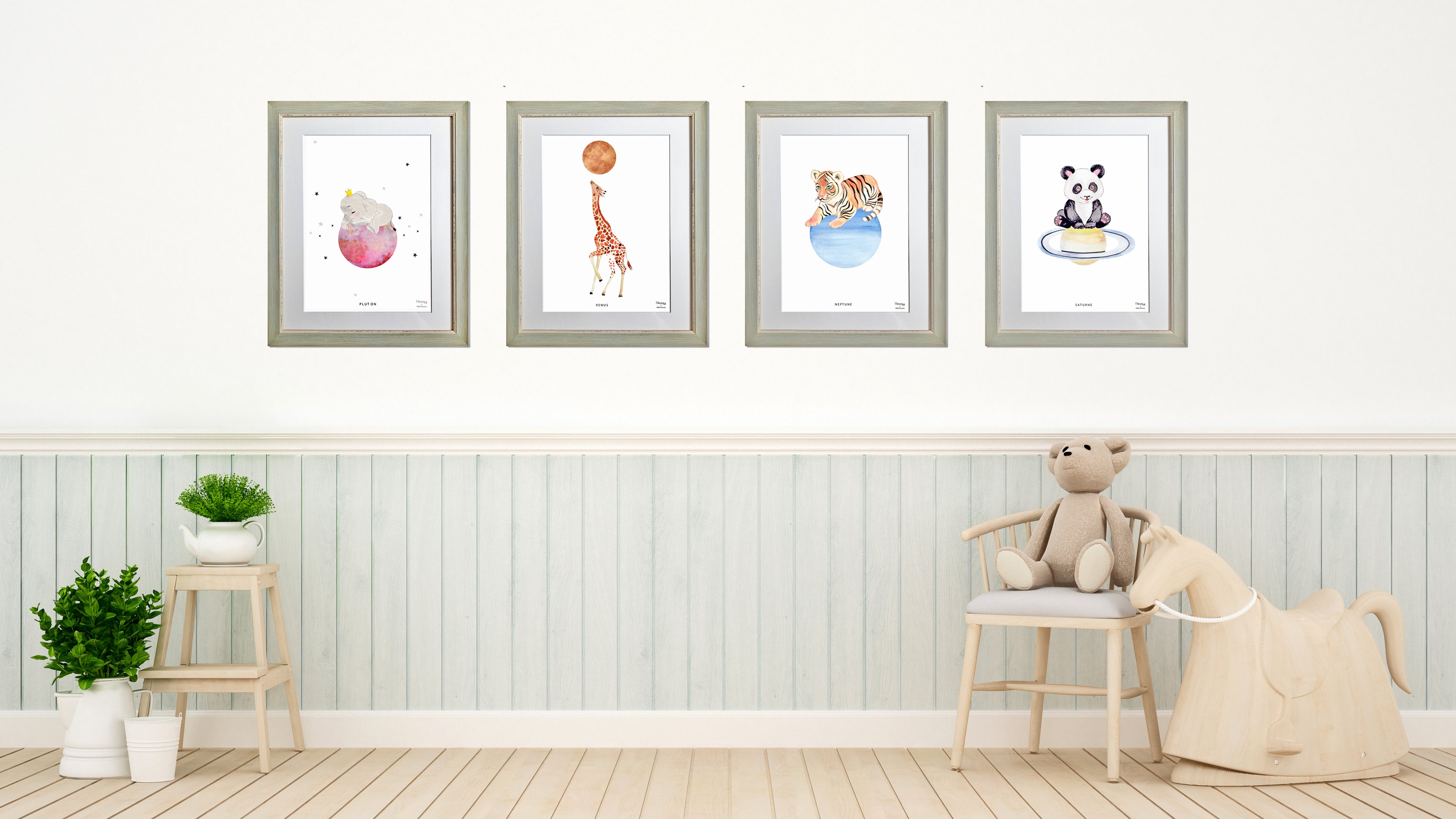 Animal Collection