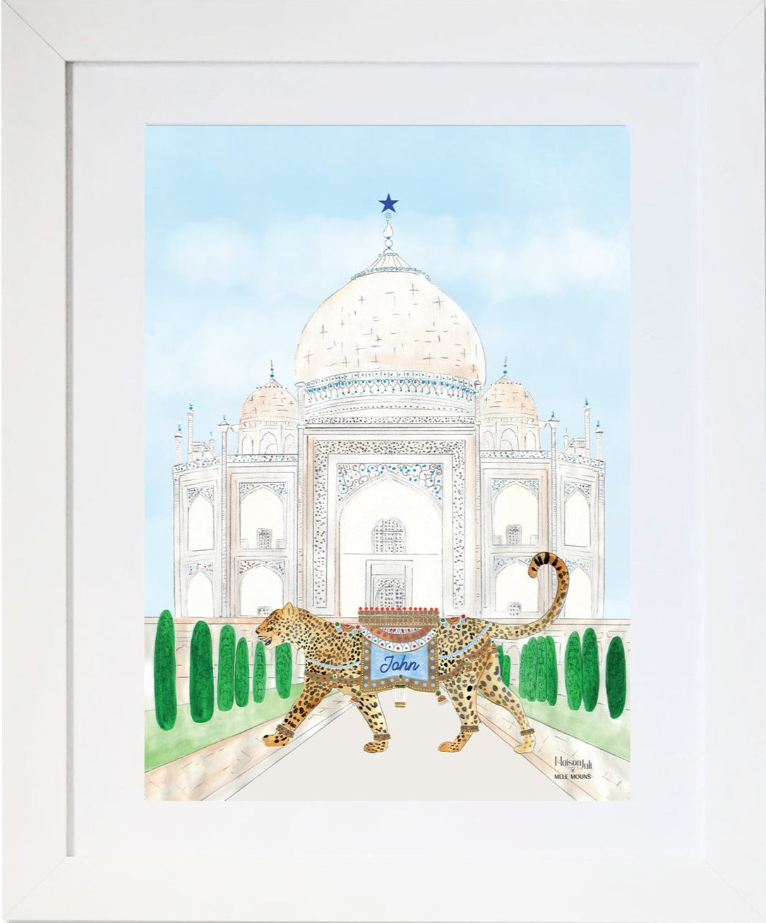 Le Léopard du Taj Mahal pour les garçons