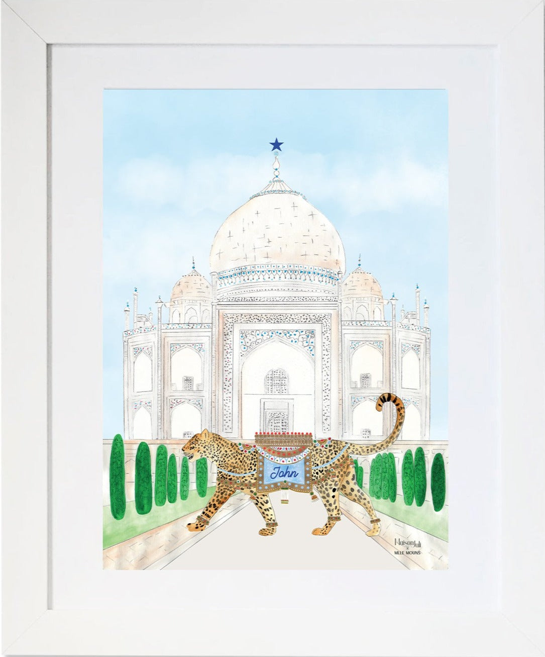 The Leopard of the Taj Mahal for Boys